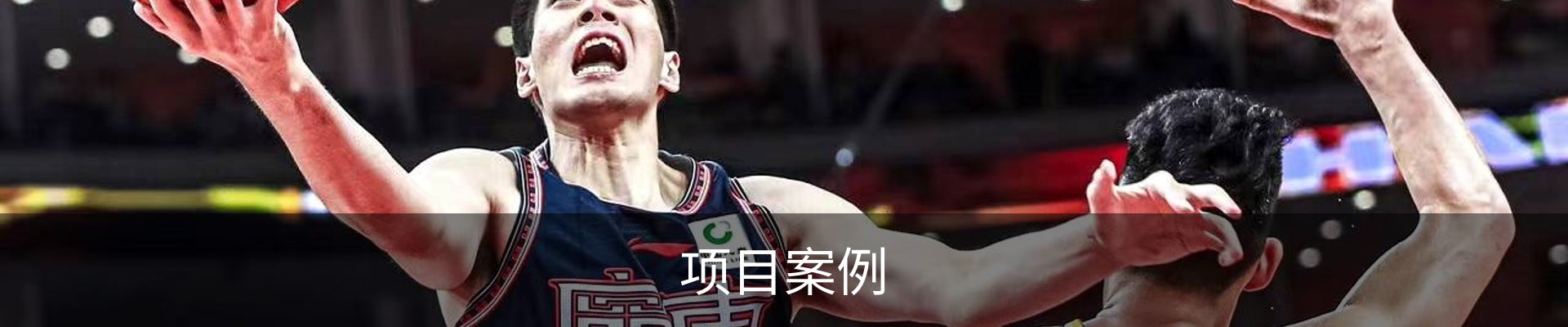 项目案例